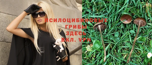 эйфоретик Алексин