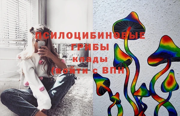 эйфоретик Алексин